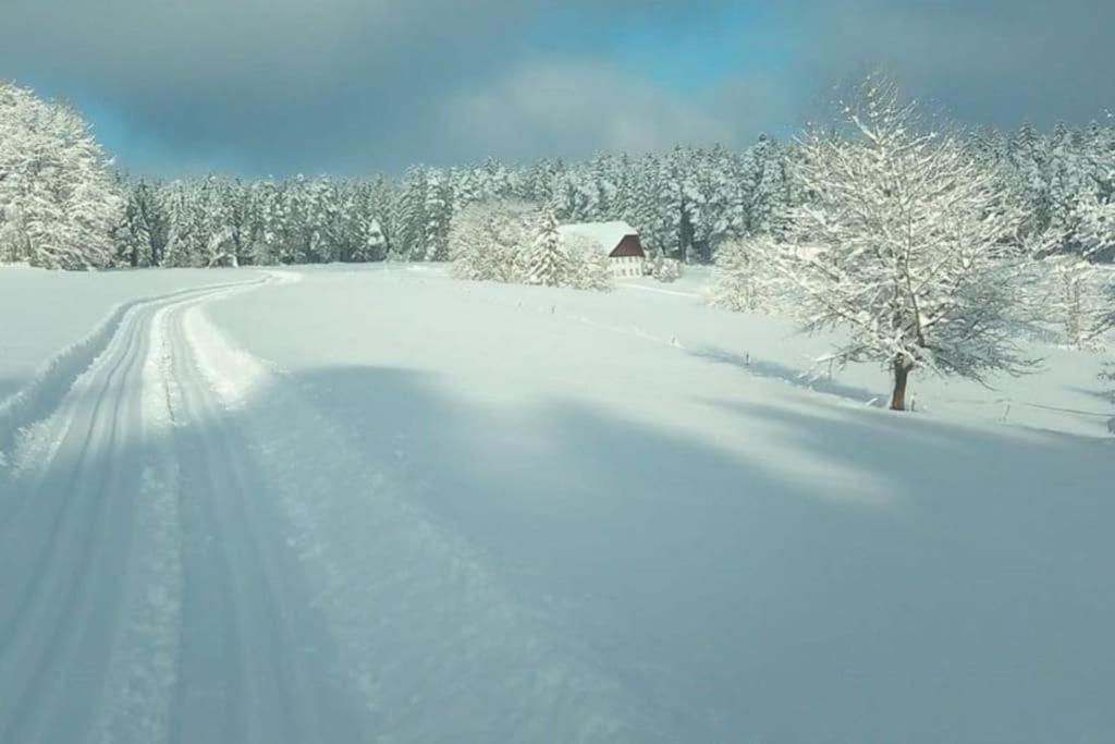 Ferienwohnung Im Schwarzwald Unterkirnach 外观 照片